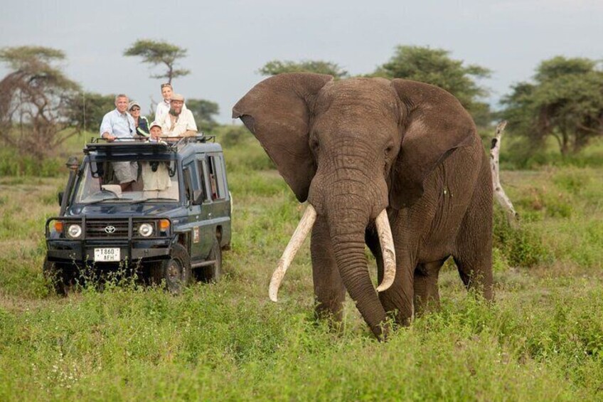 14 Days Uganda Rwanda Primate Tour