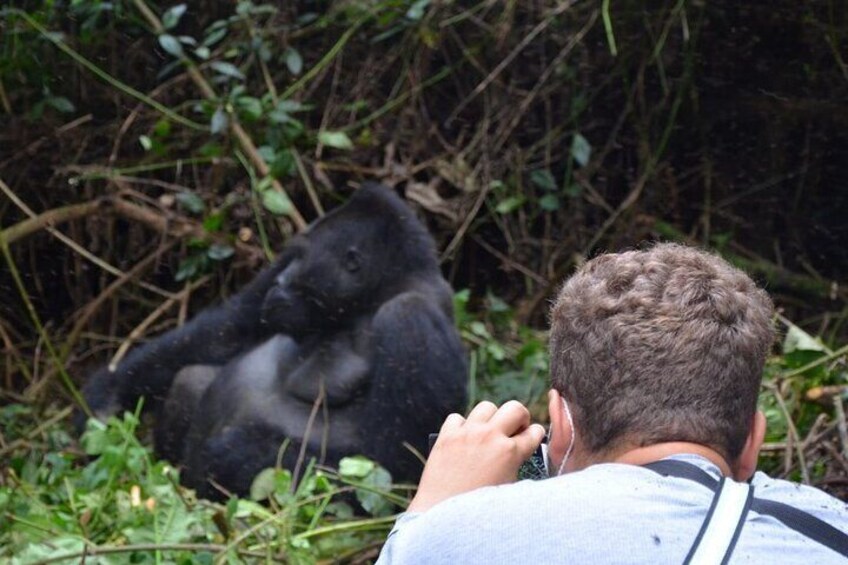 Multi Day Private Gorillas and Chimpanzee Trekking Tour in Uganda