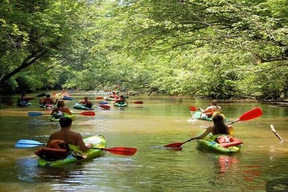 Phu Quoc Full Day Tour Cua Can River