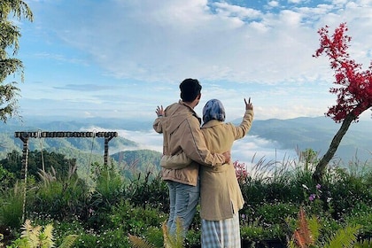 Da Lat Caccia alle nuvole al mattino presto e tour all'alba 4:00–10:00
