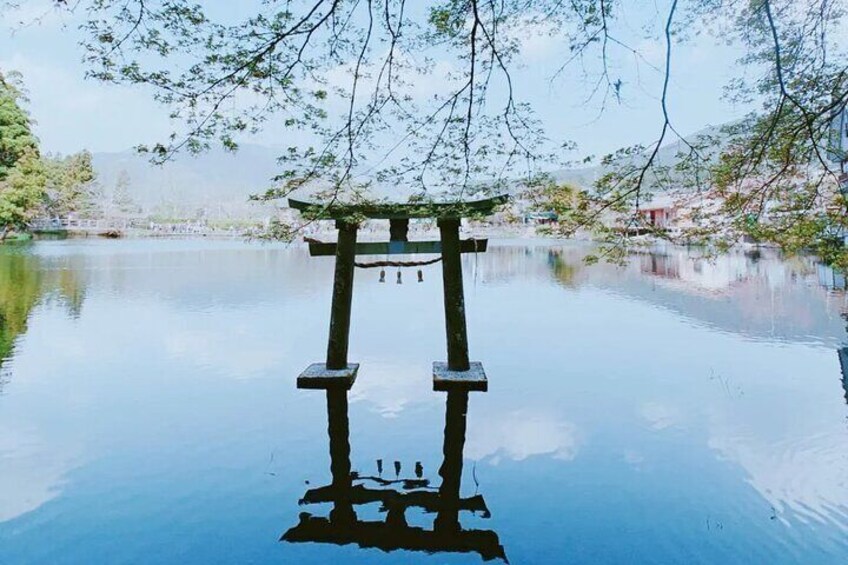 From Fukuoka: Hells of Beppu Hot Spring and Yufuin Day Trip 