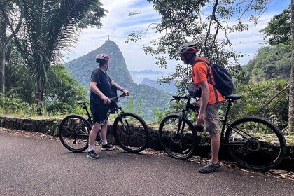 Rio Rainforest Ride An Unforgettable Mountain Bike Tour