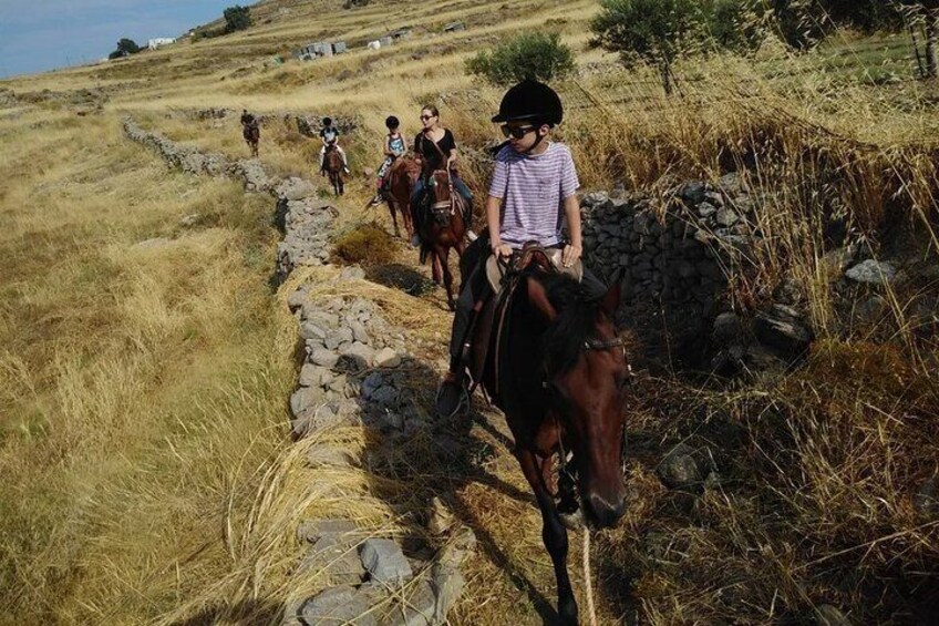 Morning Landscape Horse riding Tour in Paros