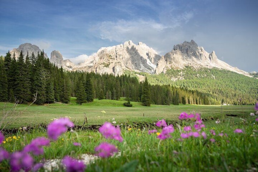 From Venice: Explore Italy’s Best Mountains - Dolomites in a Day