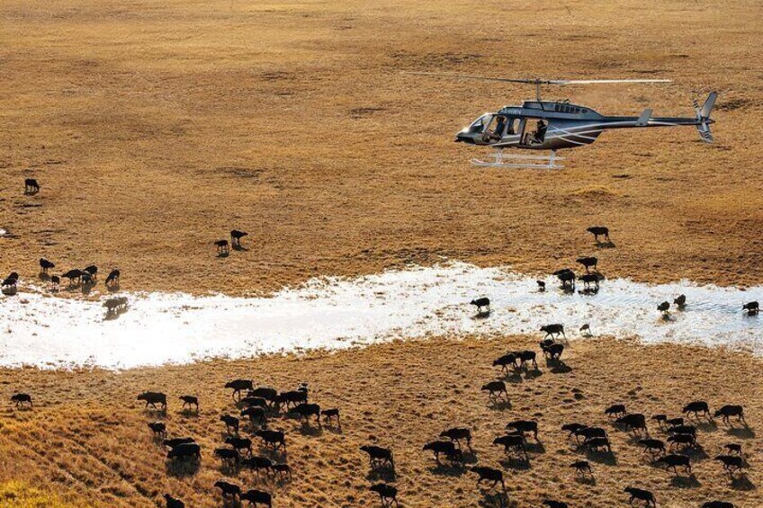 Okavango Delta Helicopter Tour