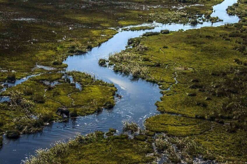 Okavango Delta Channels