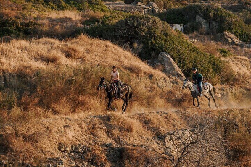 Paros Sunrise Horseback Riding to the Beach No Swimming