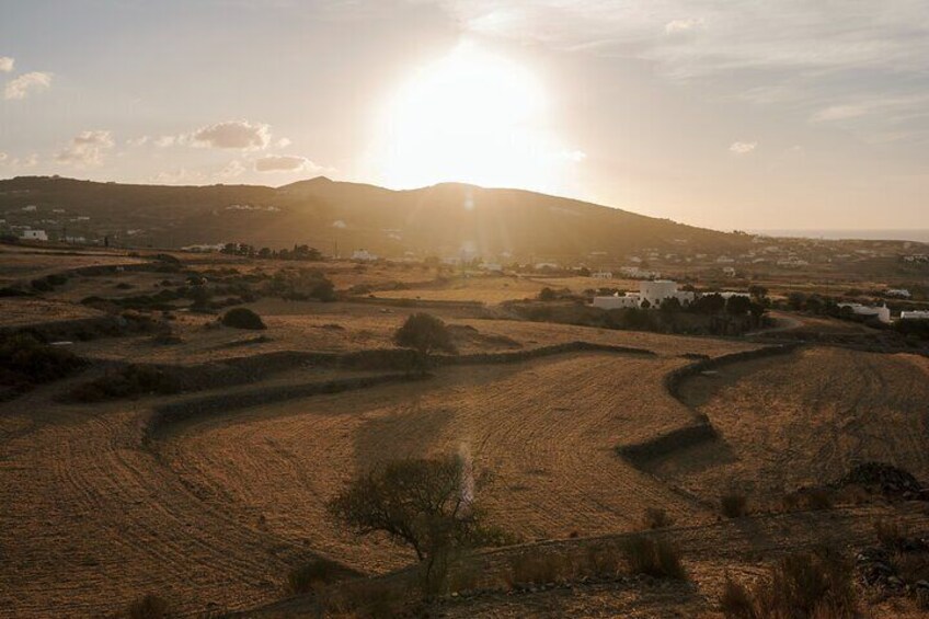 Paros Sunrise Horseback Riding to the Beach No Swimming