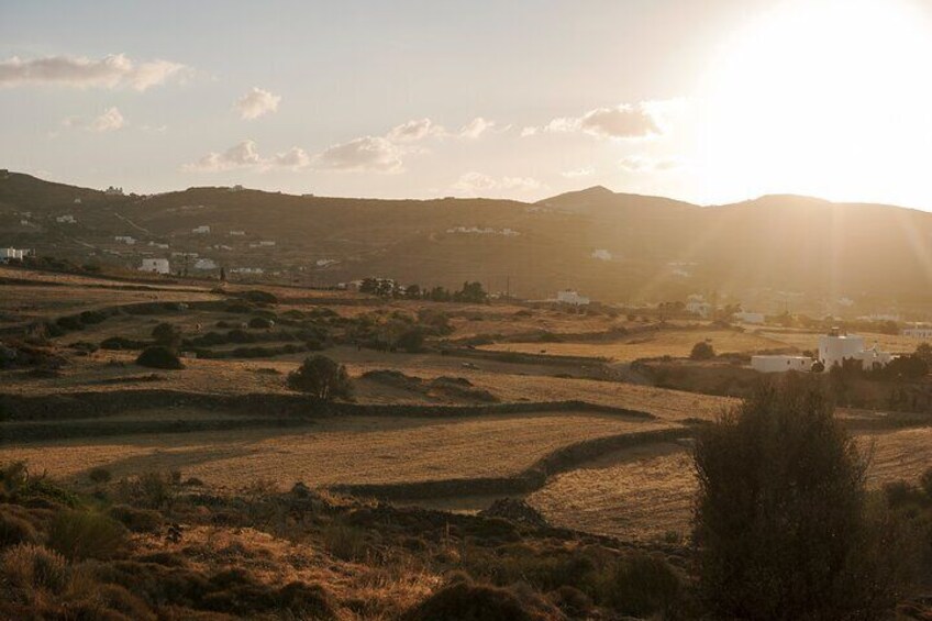 Paros Sunrise Horseback Riding to the Beach No Swimming