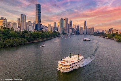 Brisbane Insights 4 Hour Tour