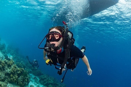 Bonaire Island Private Diving Experience