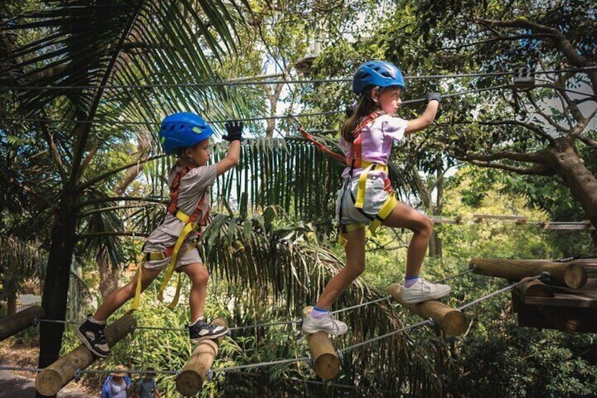 Canberra Junior Tree Ropes Course