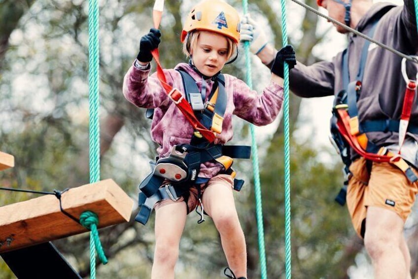 Canberra Junior Tree Ropes Course