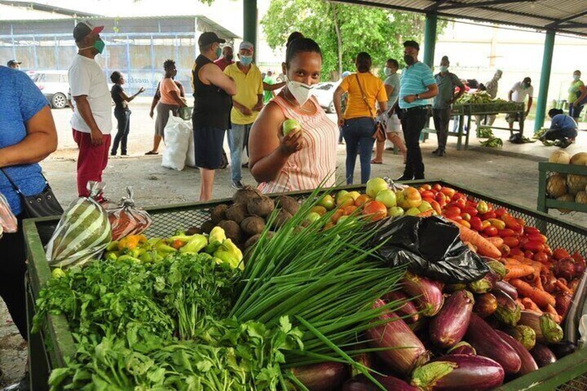 Higuey Cultural and Historical Tour from Punta Cana 
