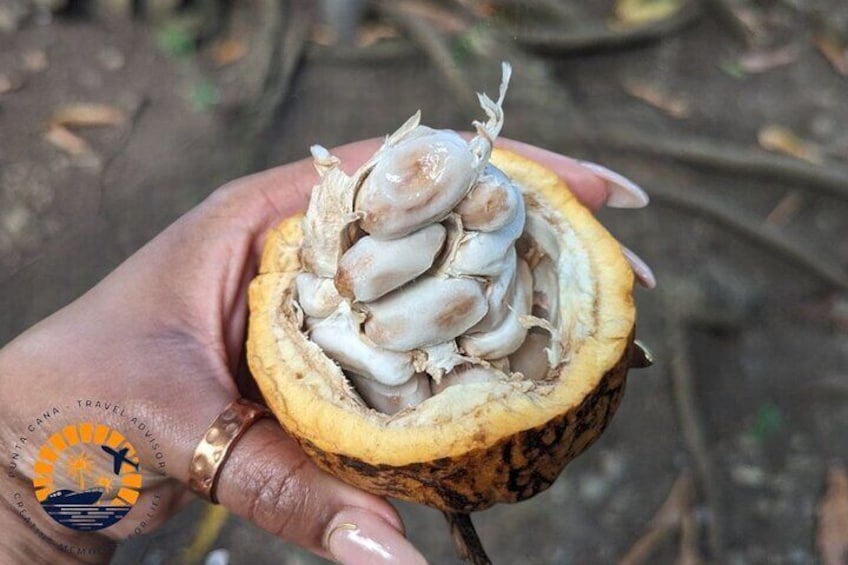 Higuey Cultural and Historical Tour from Punta Cana