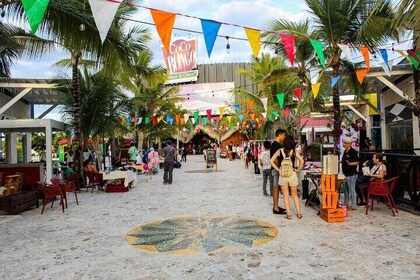 Punta Cana Shopping Tour