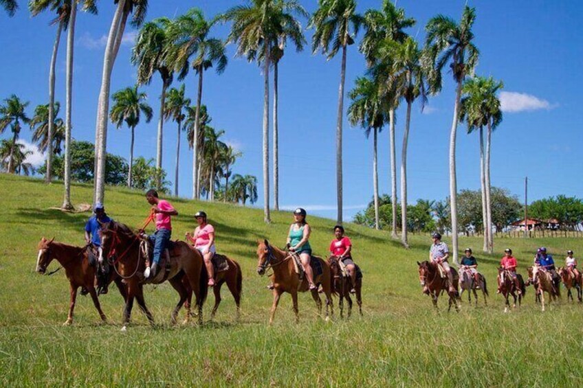 Higuey City Guided Tour from Punta Cana