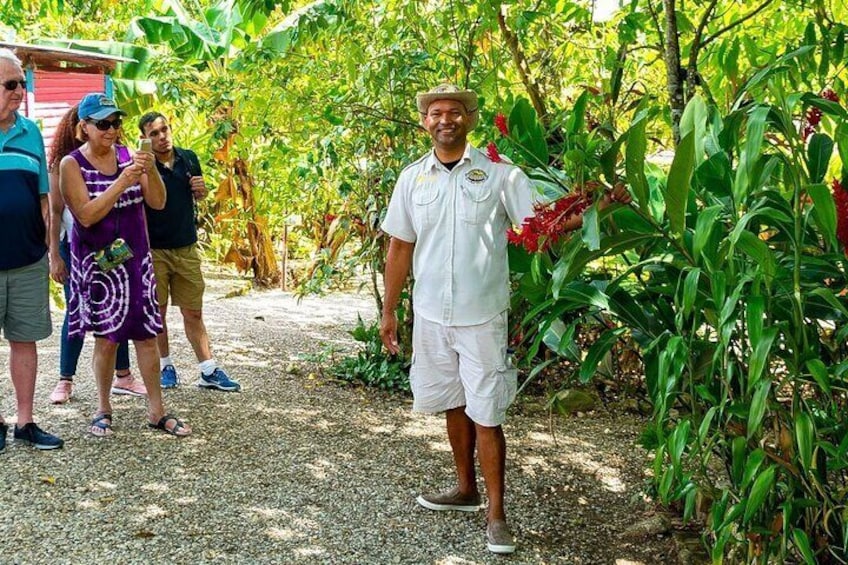 Higuey City Guided Tour from Punta Cana