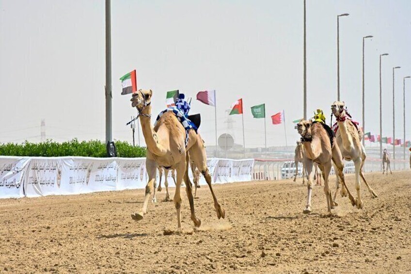 Explore Richard Sierra's Umbrella Rock in West Qatar Tour