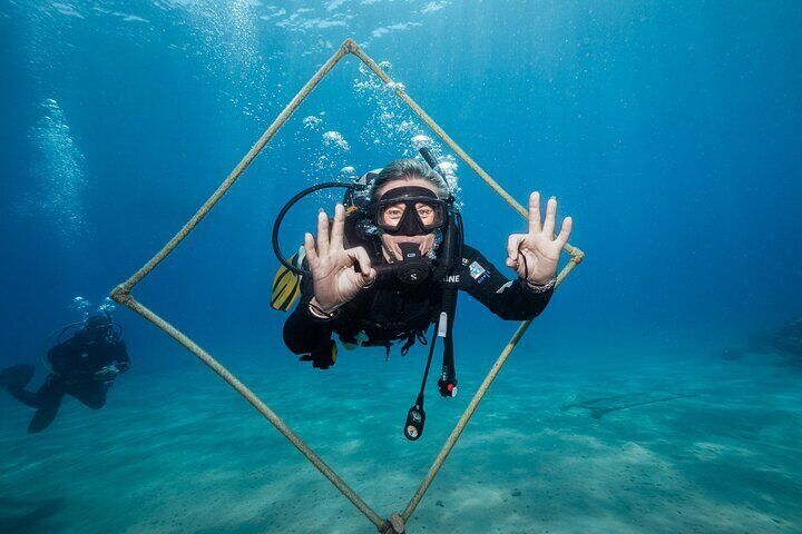 Ras Mohammed and White Island Diving Adventure - Sharm El Sheikh