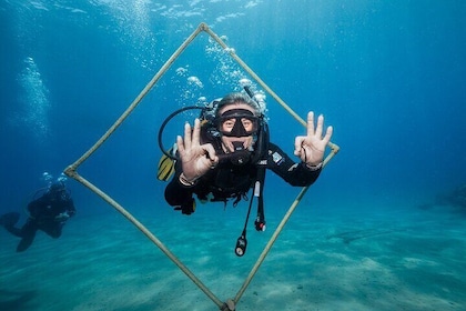 Ras Mohammed and White Island 2 潛水冒險 - 沙姆沙伊赫