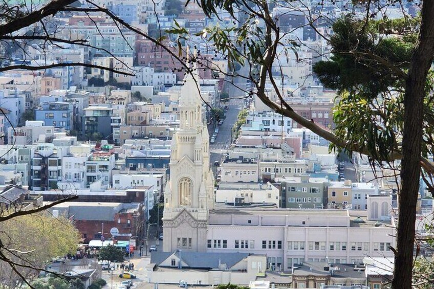 San Francisco City Tour and Bay Cruise