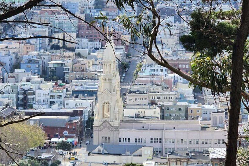 San Francisco City Tour and Bay Cruise