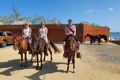Horseback Ride quad bike Ride Zipline Adventures
