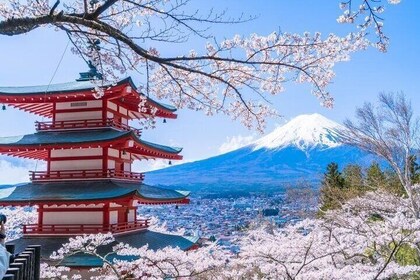 Mount Fuji Popular Check in One Day Tour