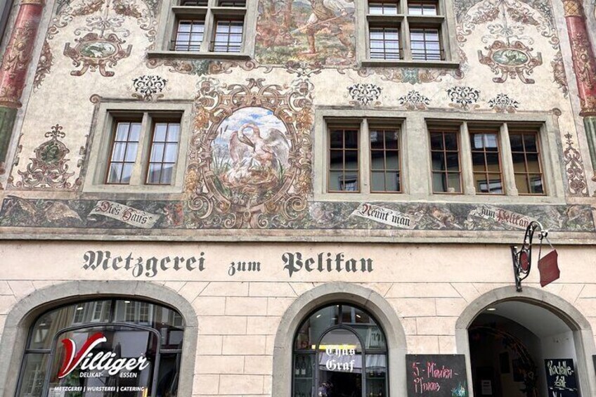 Rhine Falls and Stein am Rhein Private Half-Day Tour with Pick-up