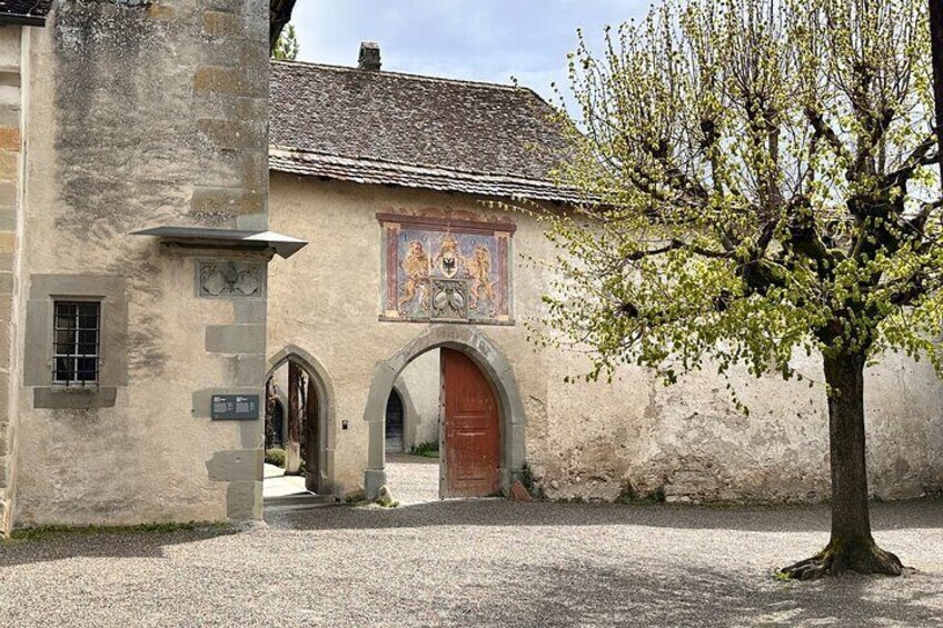 Rhine Falls and Stein am Rhein Private Half-Day Tour with Pick-up