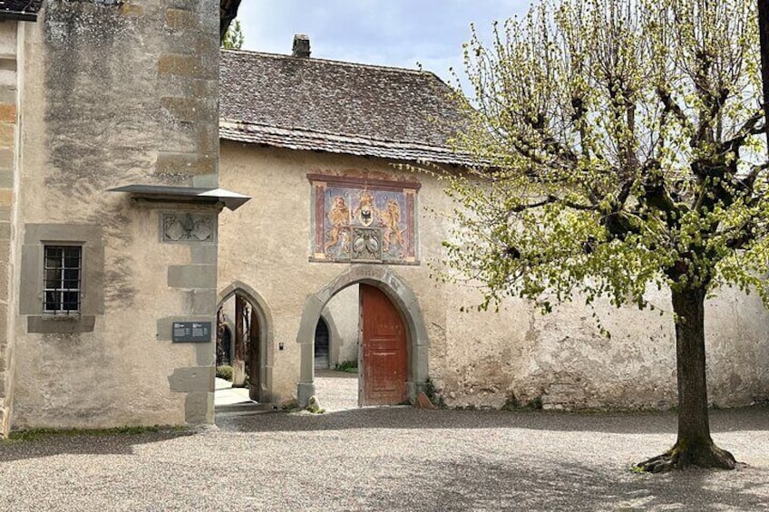 Rhine Falls and Stein am Rhein Private Half-Day Tour with Pick-up