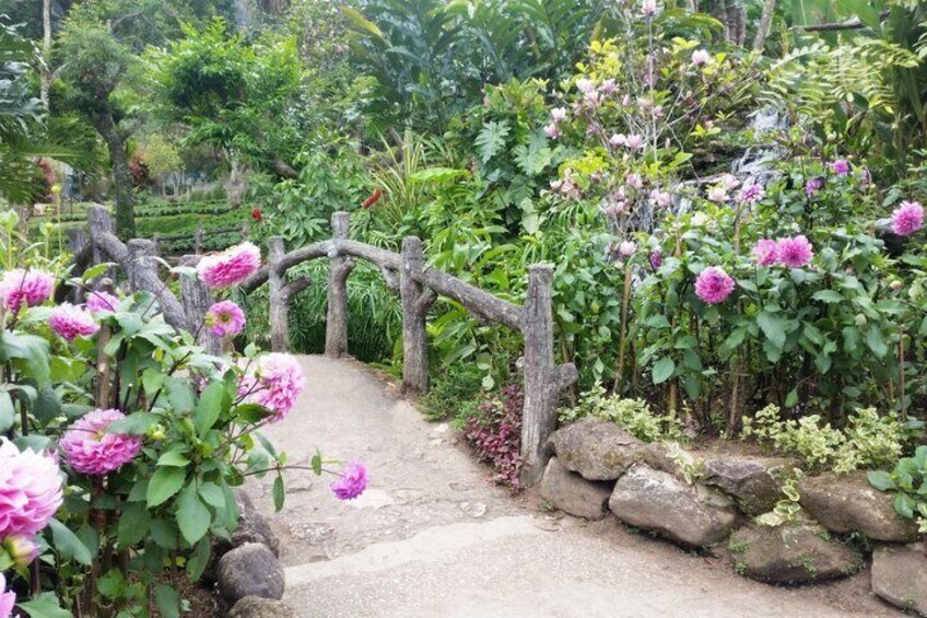 Private Chiang Mai Doi Suthep Tour