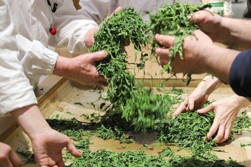 Matcha, Confections, and Traditions in Nishio From Nagoya
