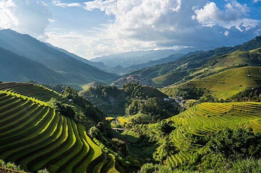 rice field North West vietnam