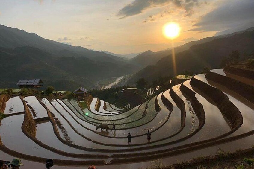 Mu Cang Chai rice field