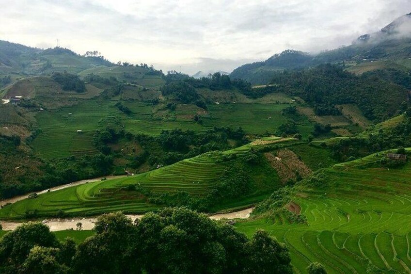 Mu Cang Chai green rice field