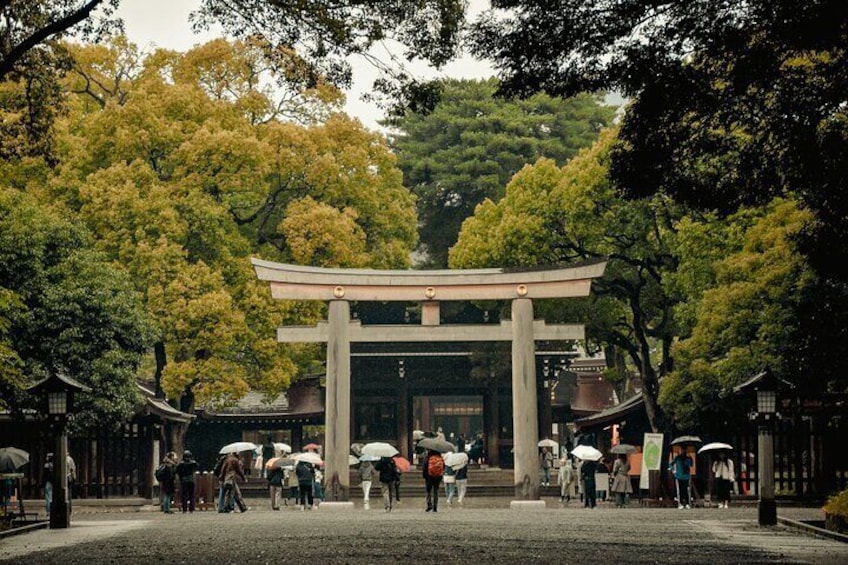 Tokyo City Private Tour
