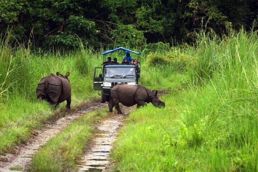 Jeep Safari