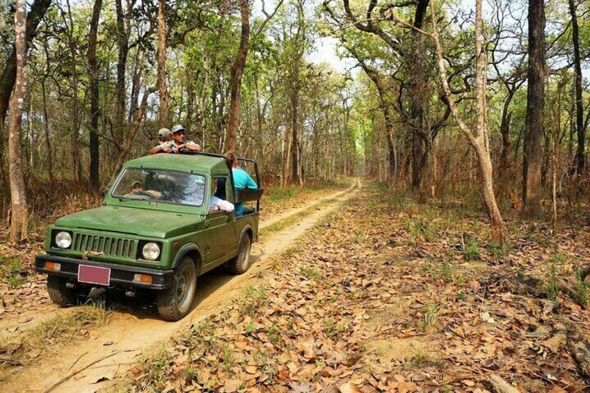 Jeep Safari