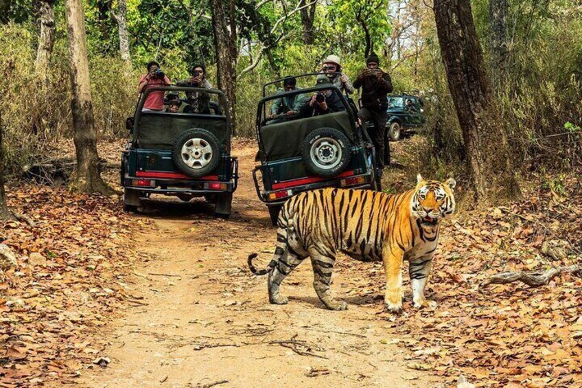 Chitwan Jungle Safari 3-Day Tour