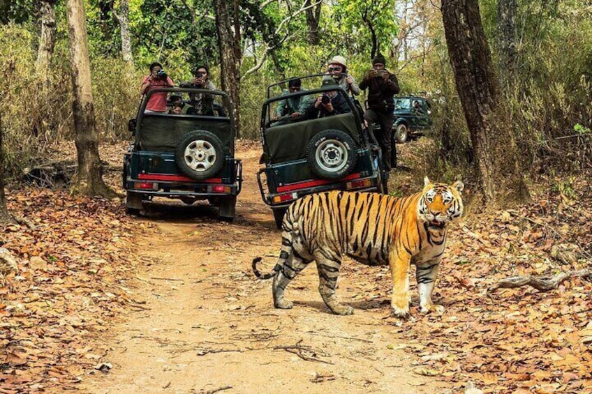 Chitwan Jungle Safari 3-Day Tour