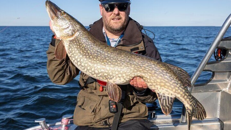 Catching a 100cm pike is not uncommon – imagine the thrill of pulling in such a huge catch! Take the chance and experience the adventure of sport fishing.