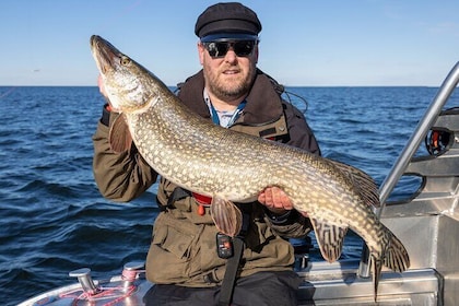 Private Guided Pike Fishing Adventure on Lake Vänern