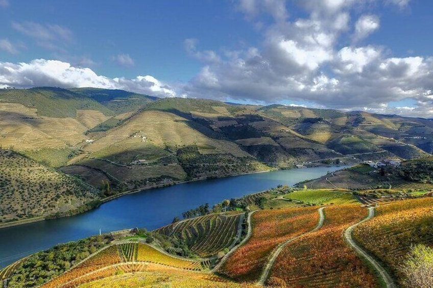 Douro valley vineyards and river Douro