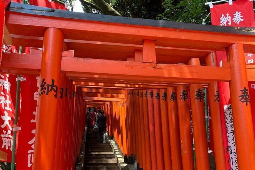 Tameike Exploring the Heart of Japanese Politics Tour