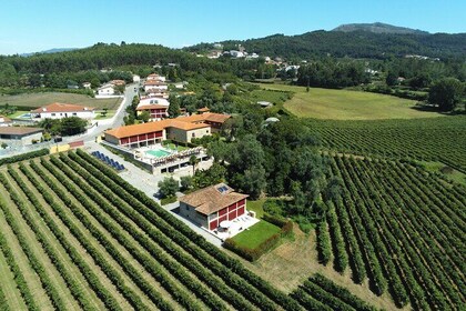 Green Wine Route and Gerês Tour from Porto