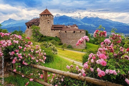 Explore 4 Countries in a Day: Liechtenstein,Austria,Swiss&Germany