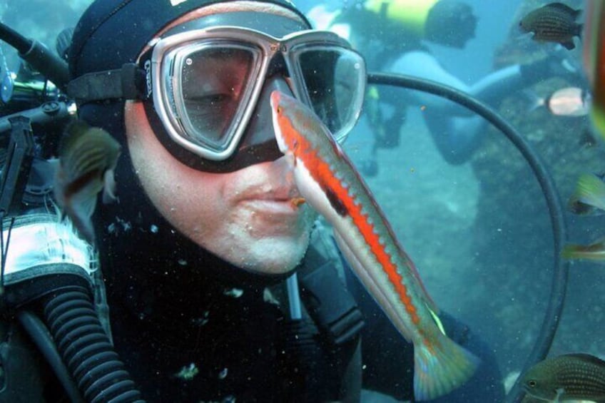 Professional Scuba Diving at Capo Caccia Alghero