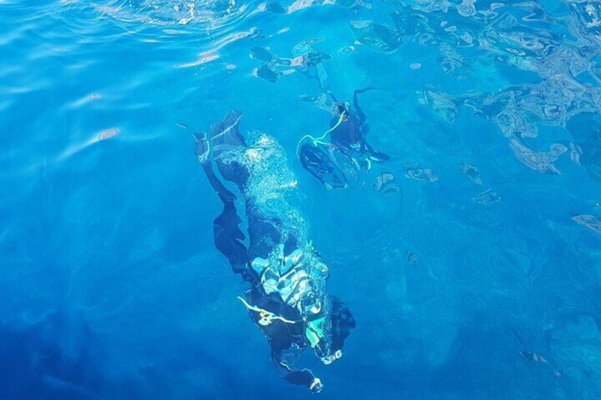 Professional Scuba Diving at Capo Caccia Alghero